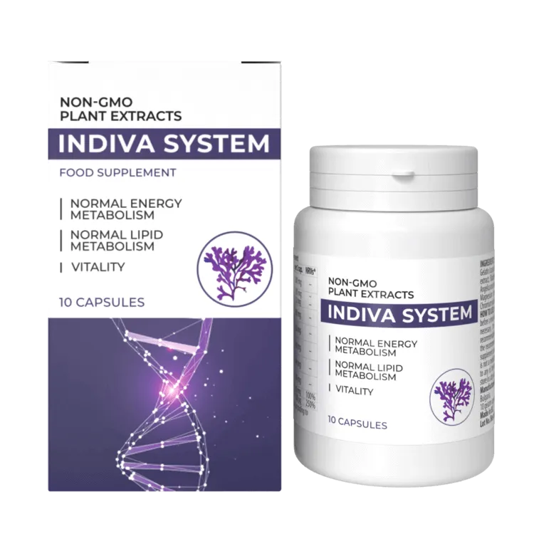 InDiva System avis : Découvrez les retours clients et l'efficacité réelle en 2026