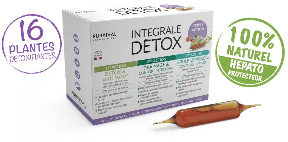 Purvival Intégrale Detox : Avis Complets et Efficacité en 2026